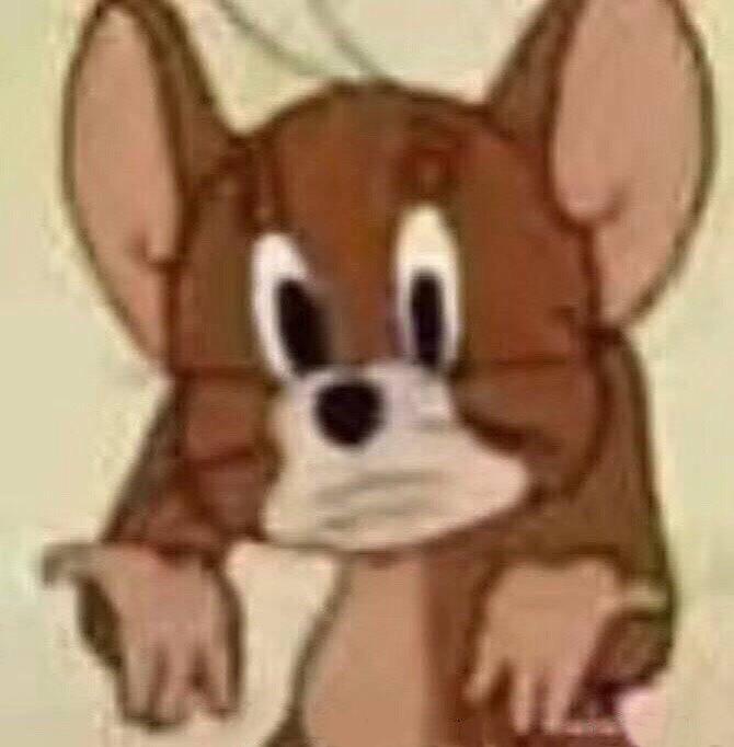 广州狗狗游玩：城市中的宠物乐园